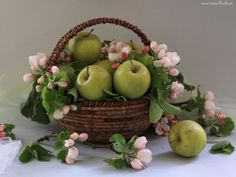 Floristería flores