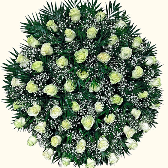 Corona de 50 Rosas en Color Blanco