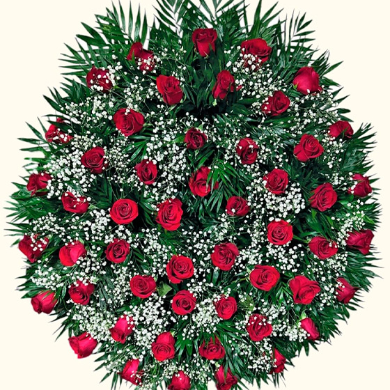Corona de 50 Rosas en Color Rojo