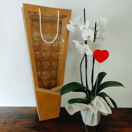 Orquídeas Phalenopsis con Bolsa Corazón